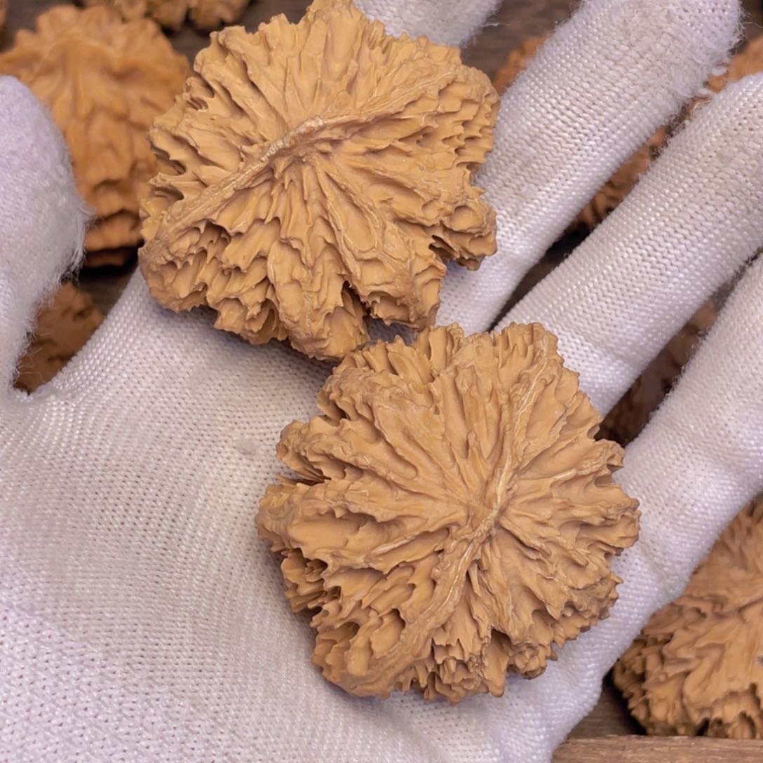 文玩核桃吊坠啊**呀1 秦岭灯笼野生小众