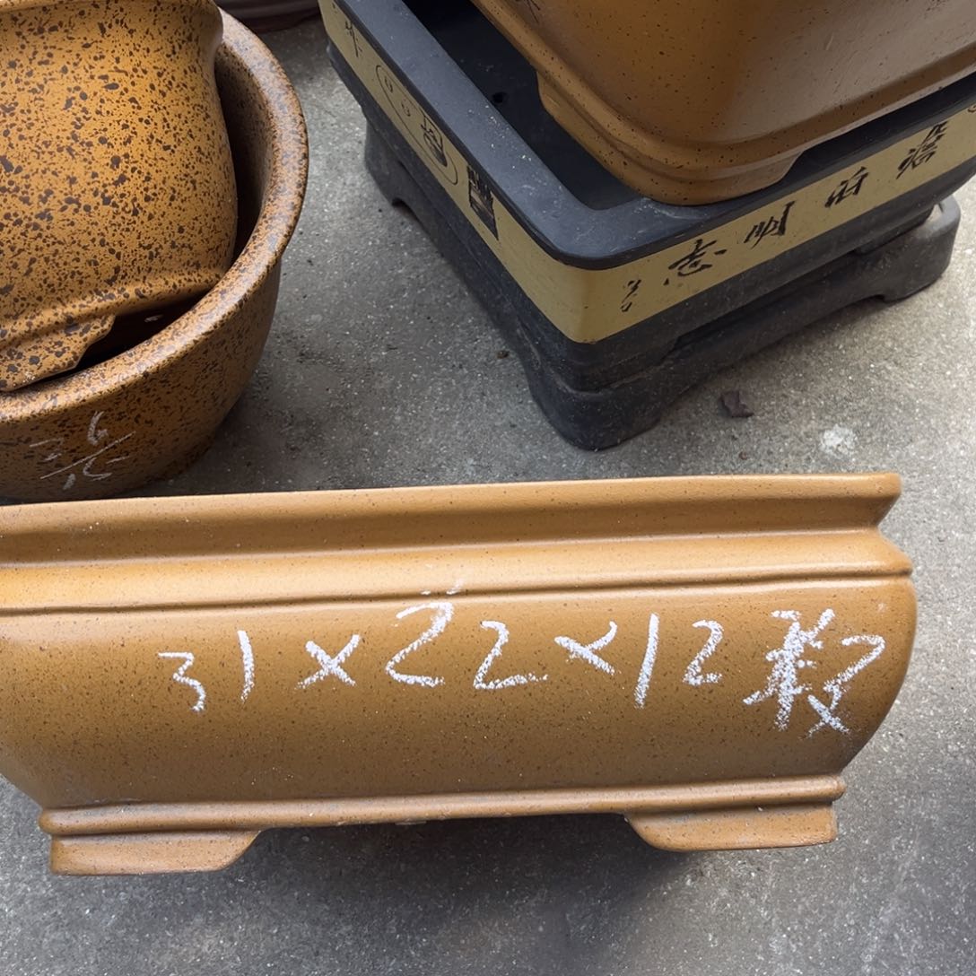 花盆紫砂盆景艺术