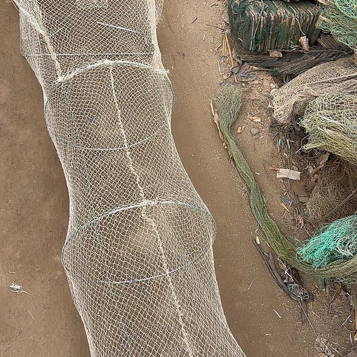 阿***甘鱼4526151661612255