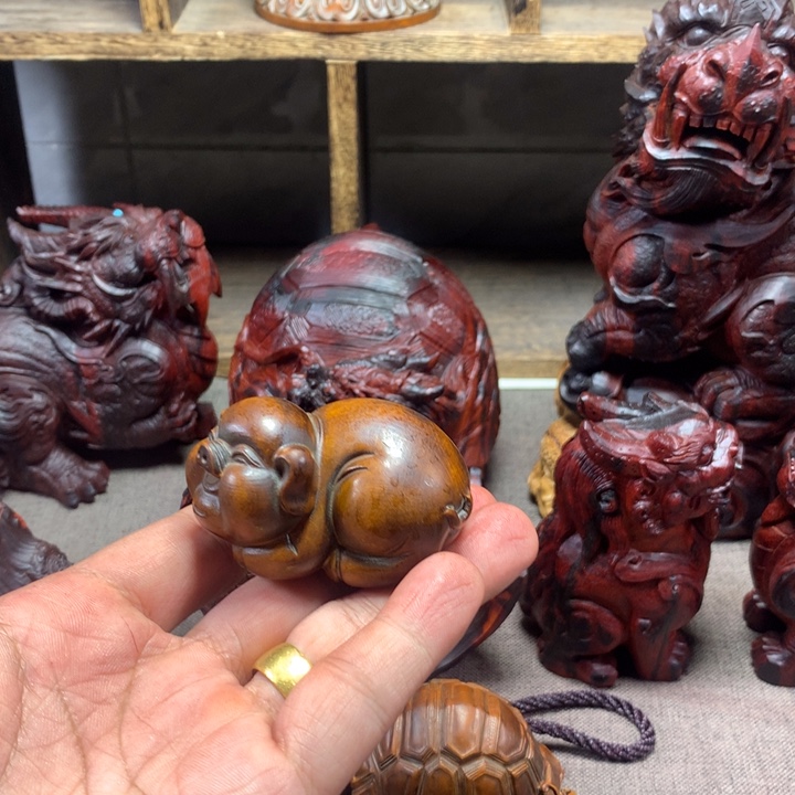 不***戒黄杨木小叶黄杨木