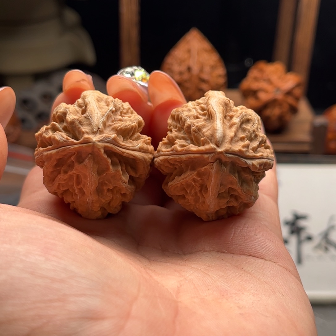 文玩核桃把件关东木子家楸大胖132