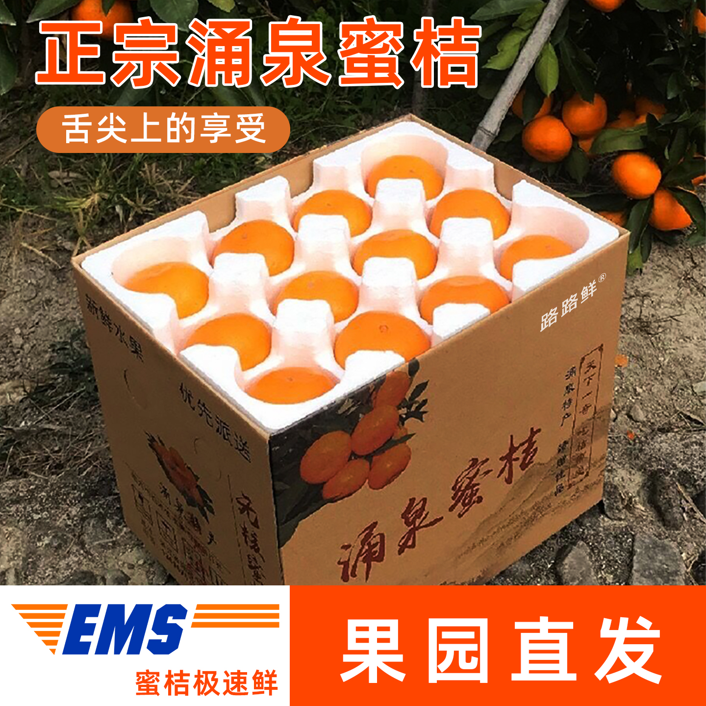 正宗涌泉蜜桔3斤5斤新鲜水果现摘现发果园直发薄皮多汁橙子