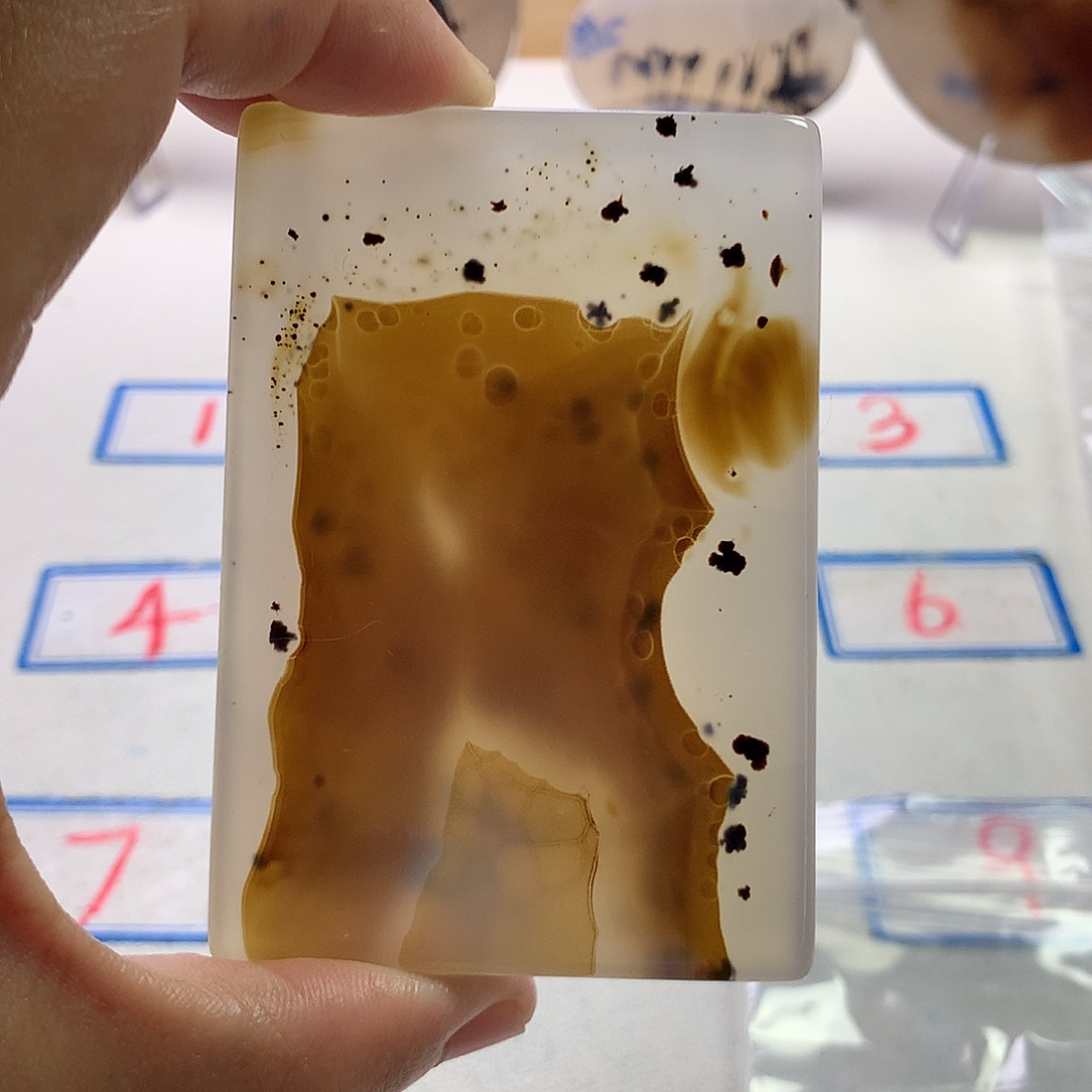 峰****未镶嵌玛瑙/玉髓珠宝半成品