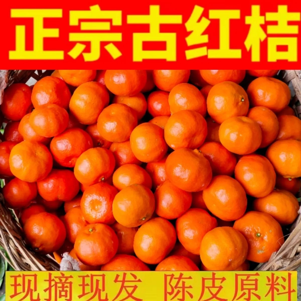 重庆万州古红桔川红橘现摘现发【陈皮原料】