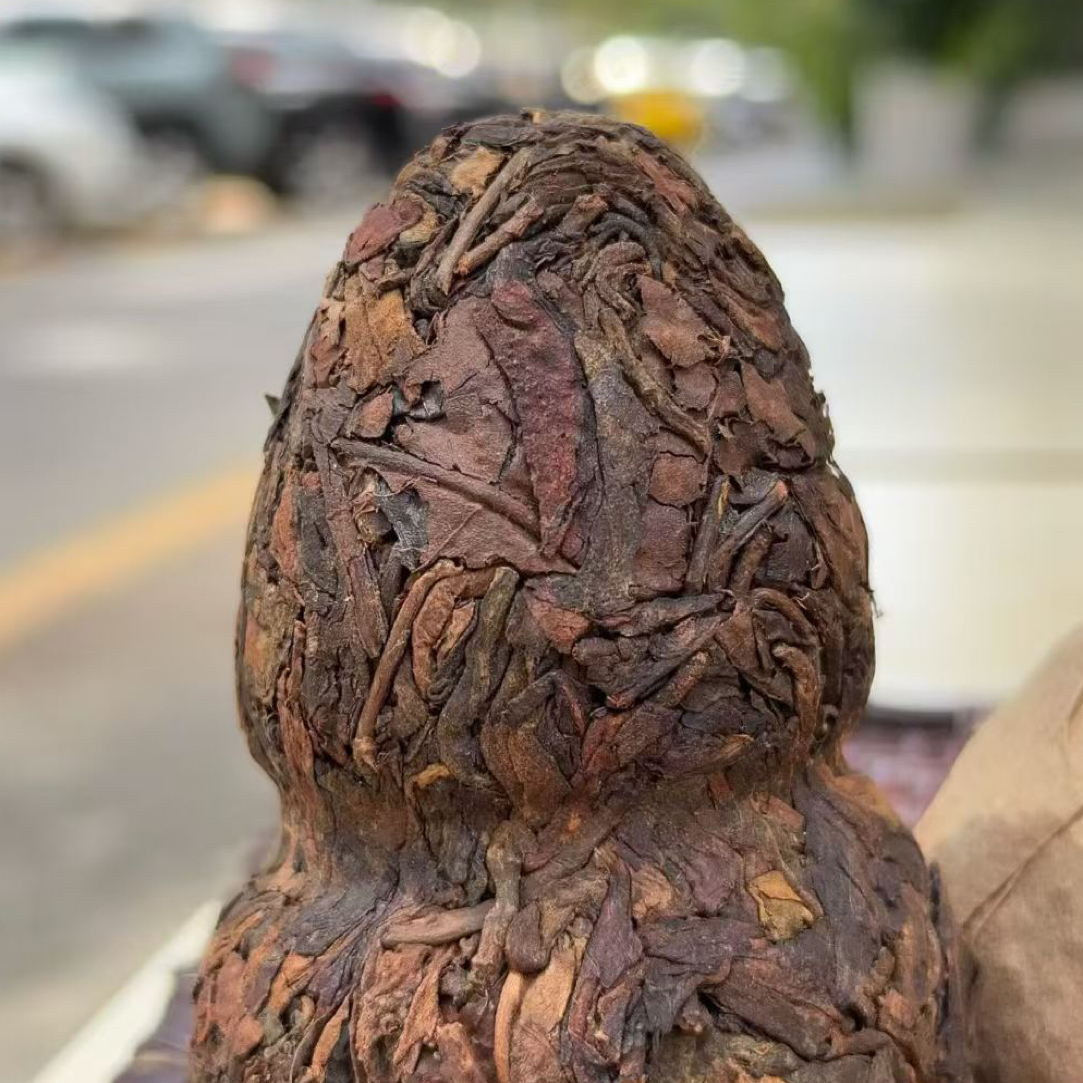 1995年（古树老生茶葫芦100g）