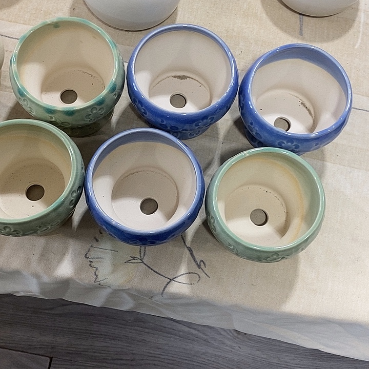 花盆抢购清货马上开始