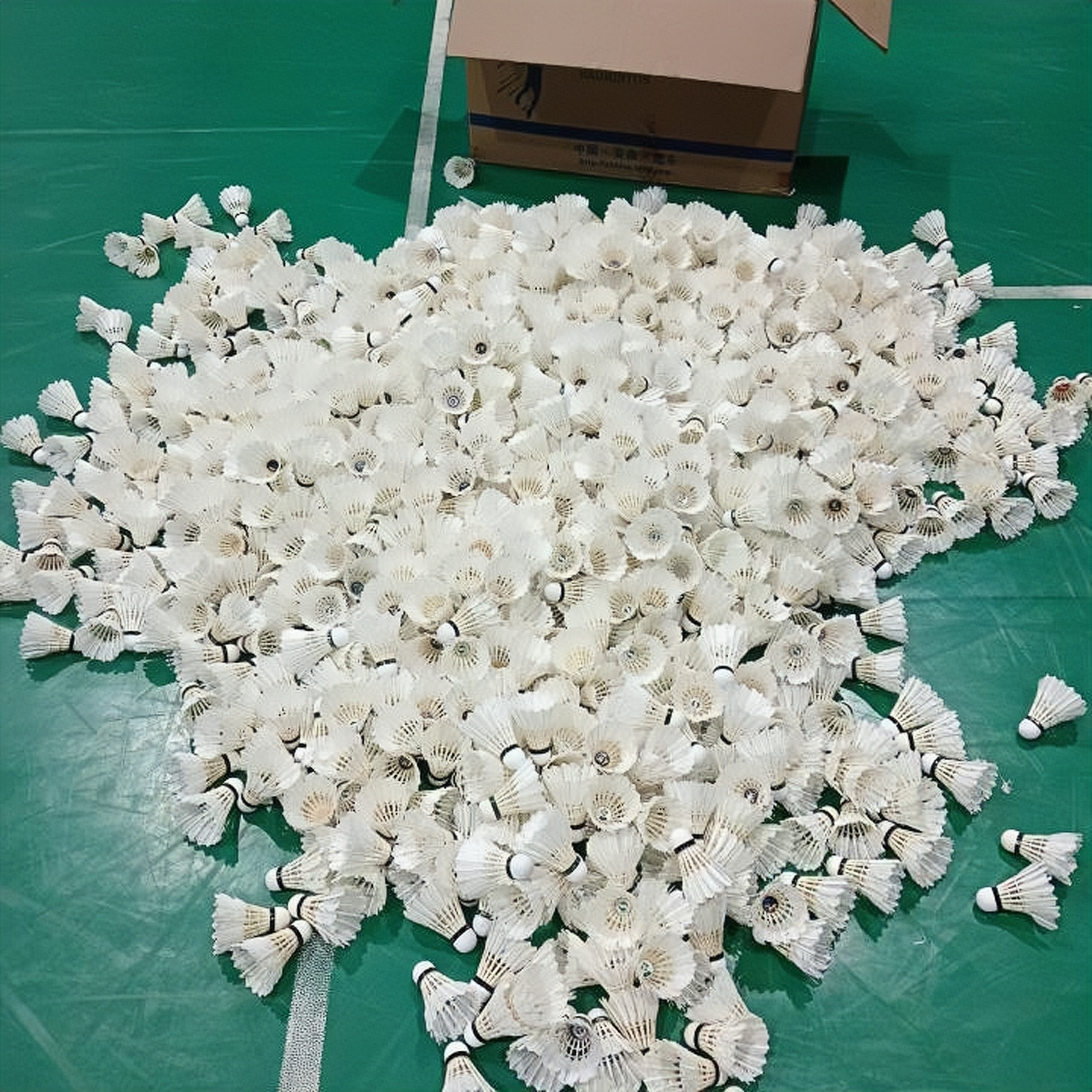 《回收》《代修》《精修》羽毛球