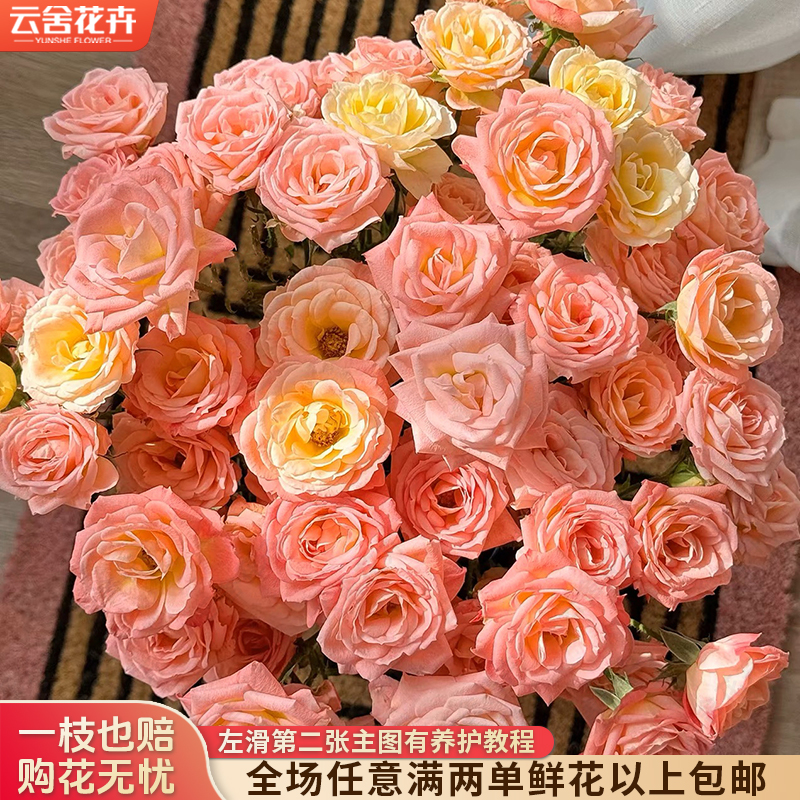 【云舍花卉】【簪花笑】多头玫瑰 全场任意满两单及以上鲜花包邮发货