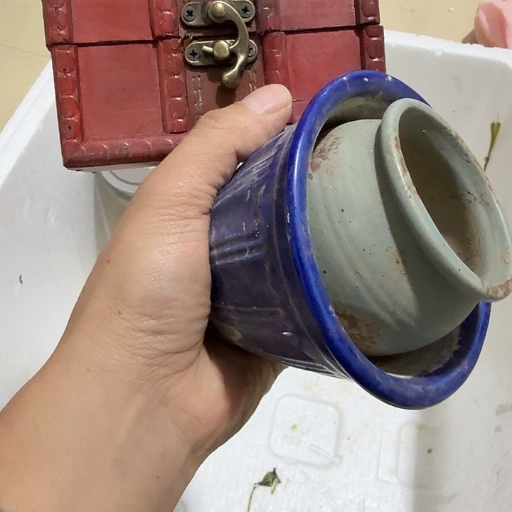 吴***潇扇子吃g给哈哈哈哈哈哈哈共和国哈哈