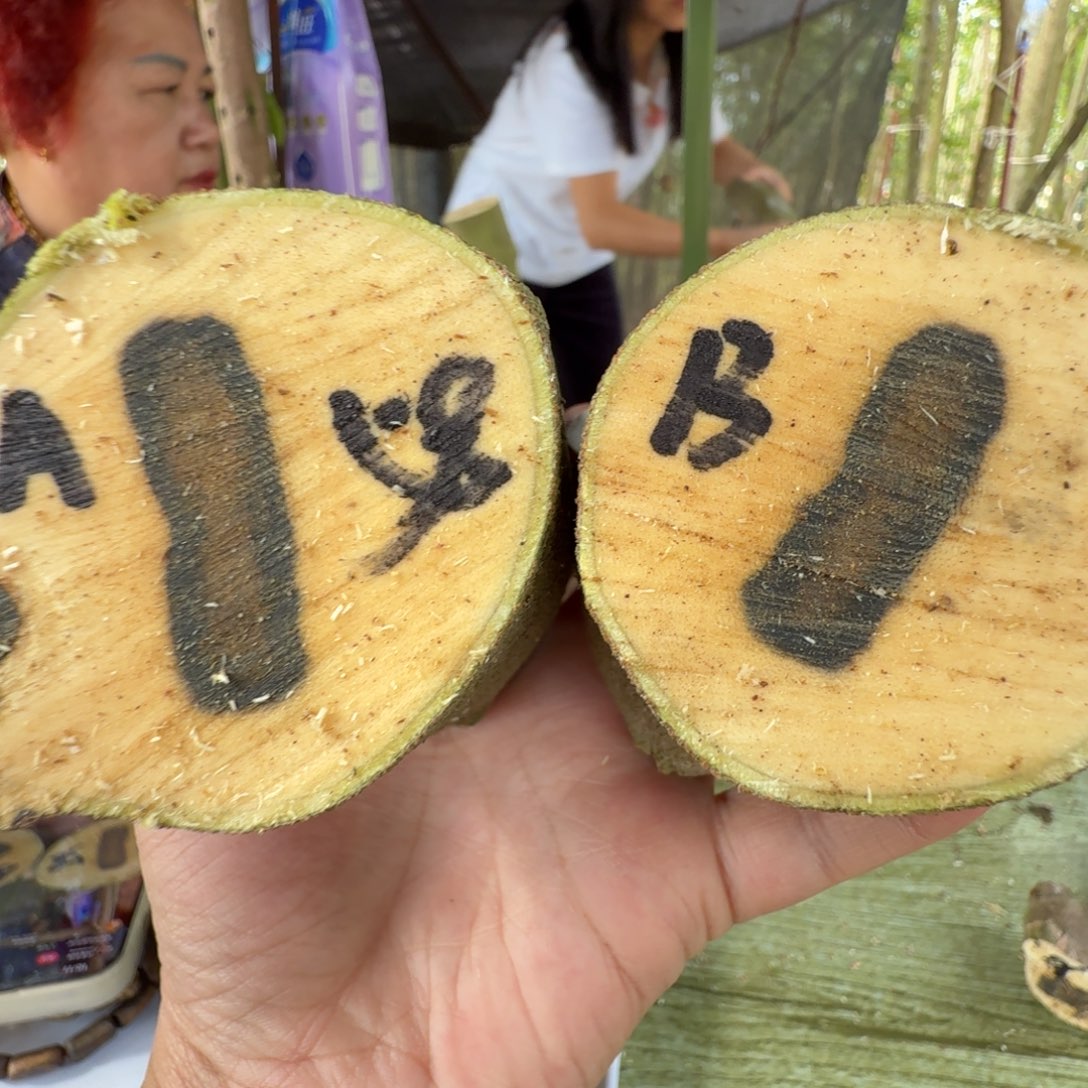 线香奇楠沉香原木