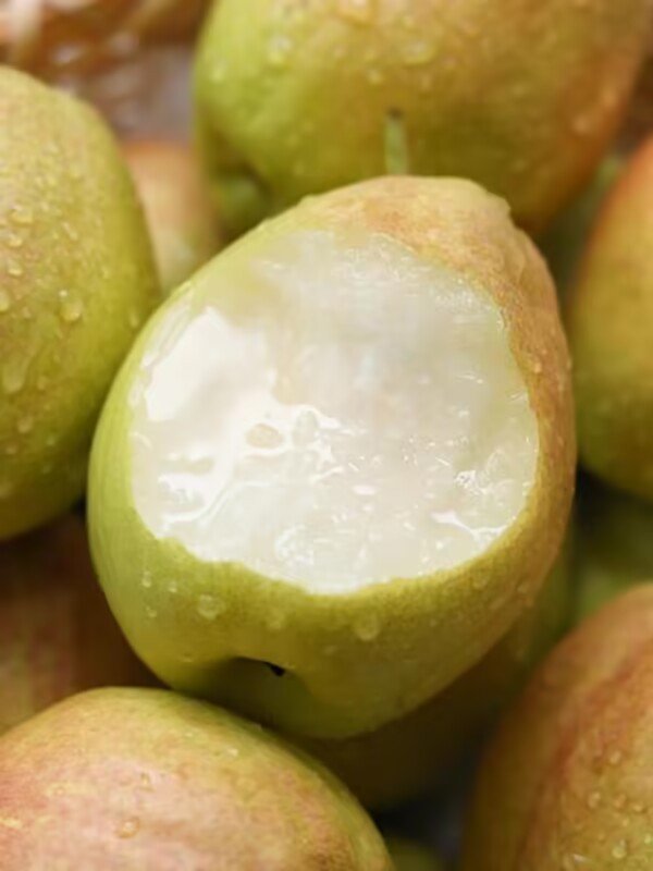 新疆库尔勒香梨产地直发新鲜香甜果肉细腻无渣水果