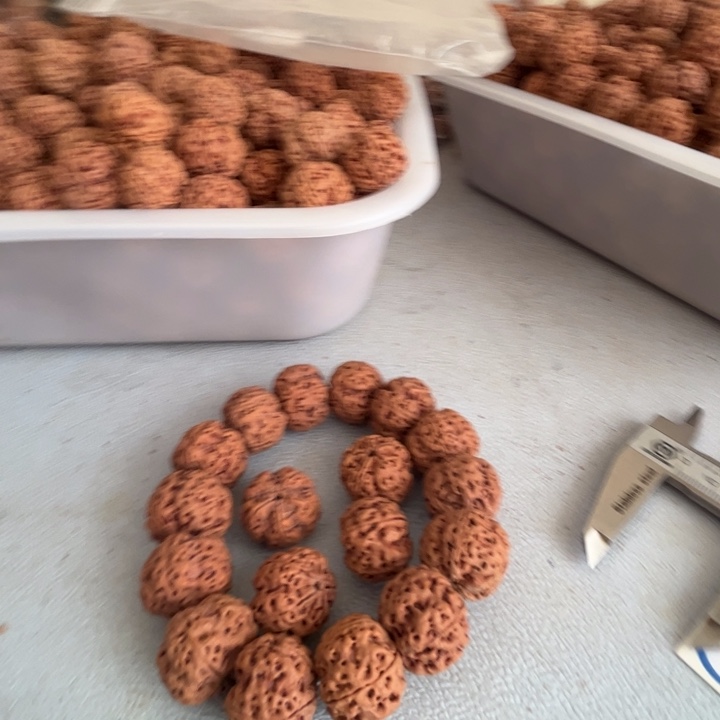 吊坠金刚菩提22mm开播福利6@1801