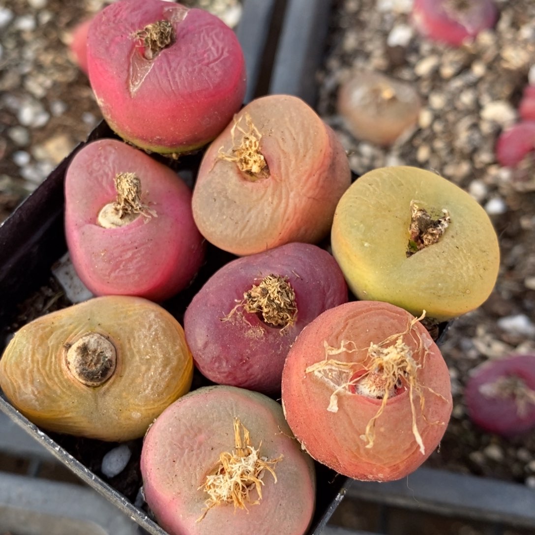 9108有伤一组一组