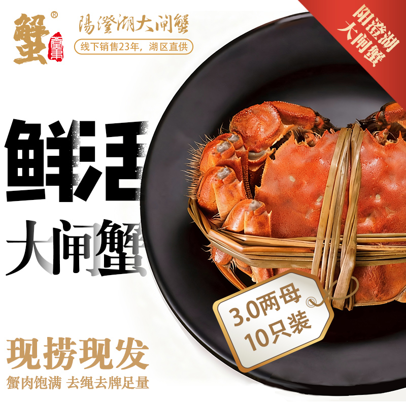 阳澄湖大闸蟹【全母蟹】3两3.5两4两10只装蟹堂弟活蟹塘养鲜活螃蟹