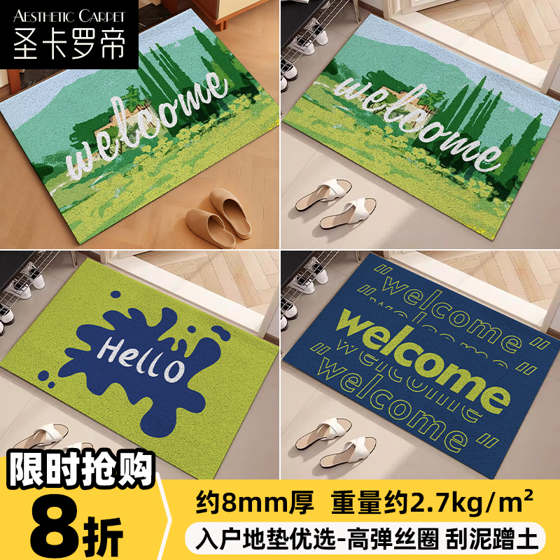 入户进门垫丝圈地垫家用大门口刮沙蹭土地毯玄关耐脏耐磨踩脚垫子