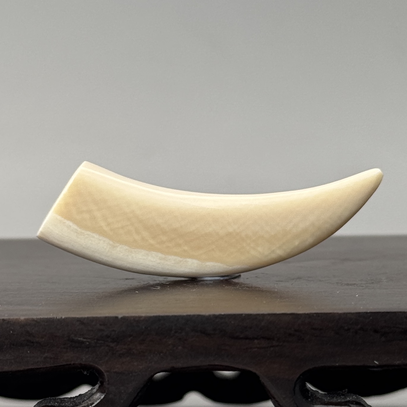 DEZHI/德志45*9*11mm4.2g牙尖吊坠天然猛犸牙C544