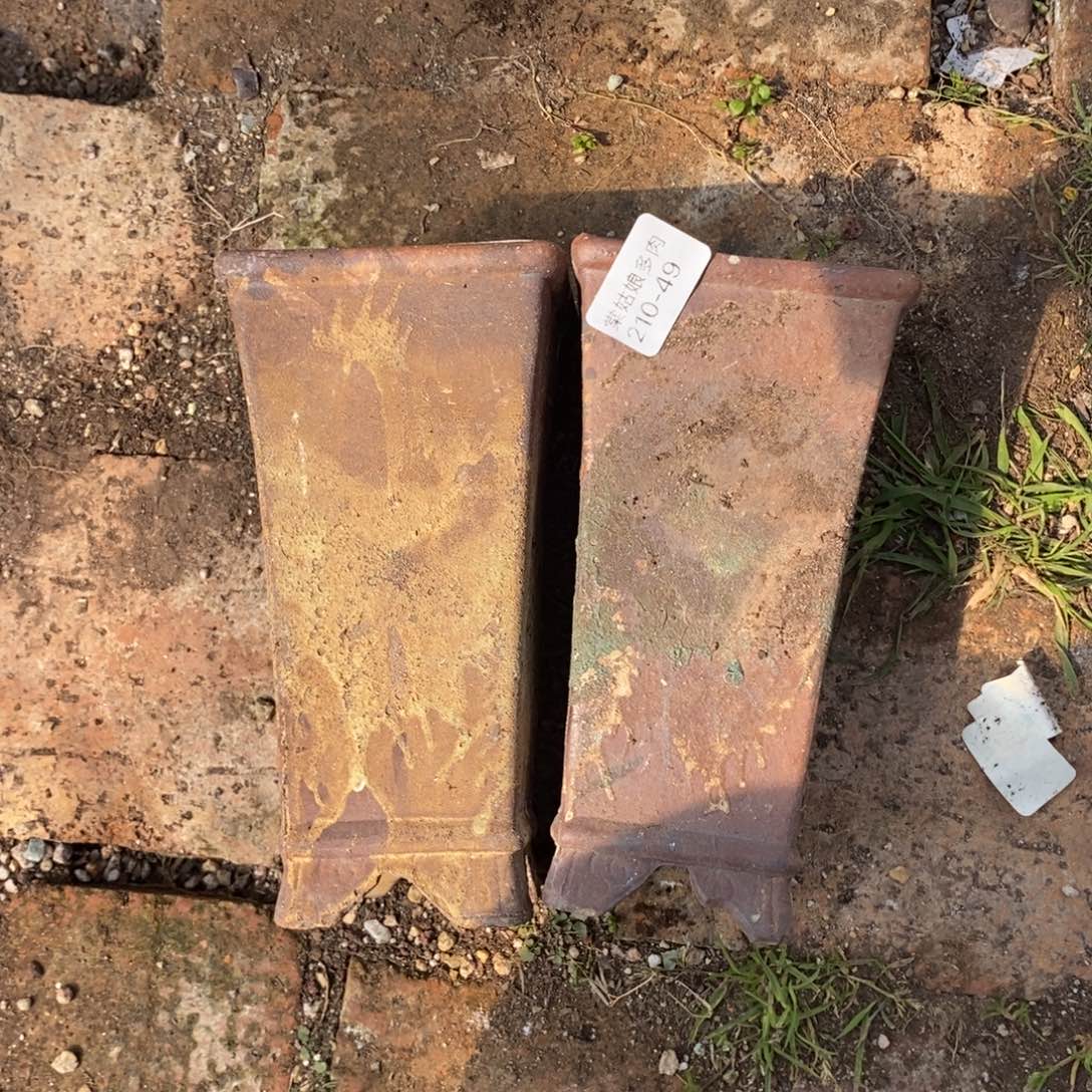 卫**金49号两个多肉盆组合