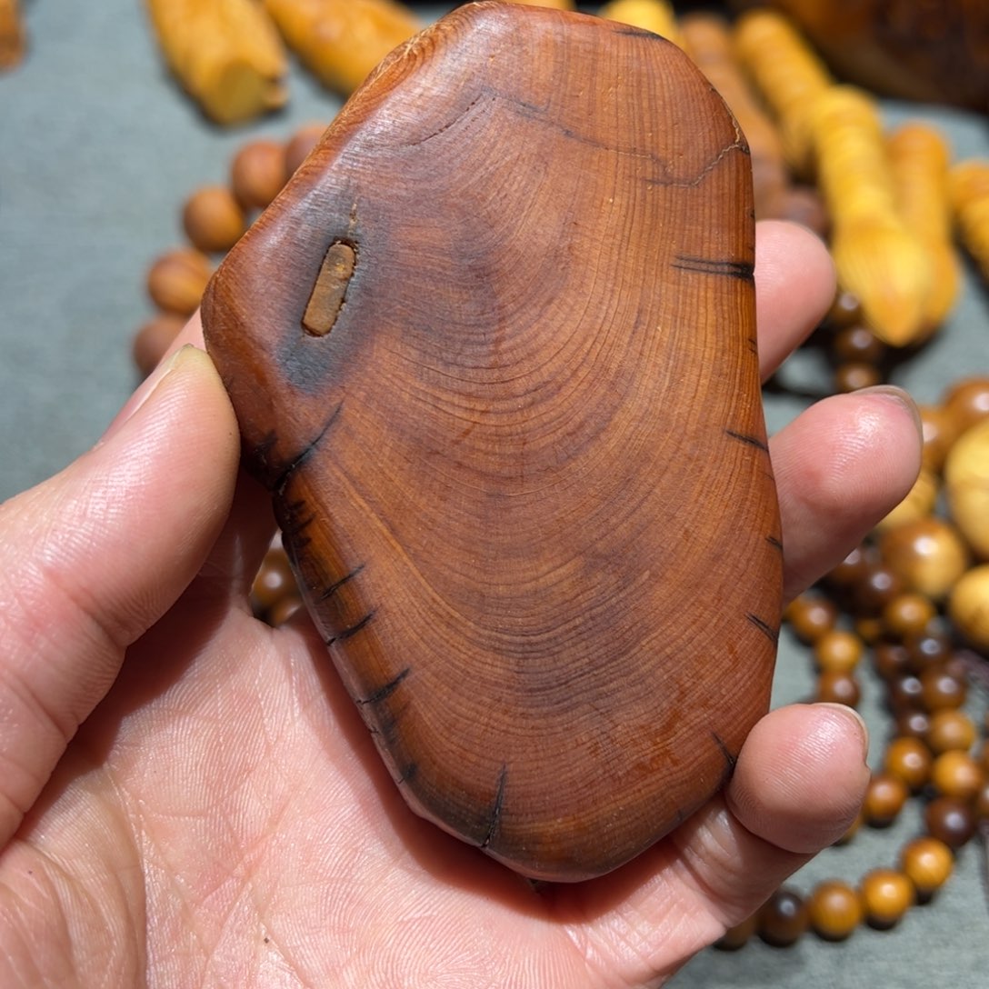 柏木（崖柏）太行崖柏陈化太行