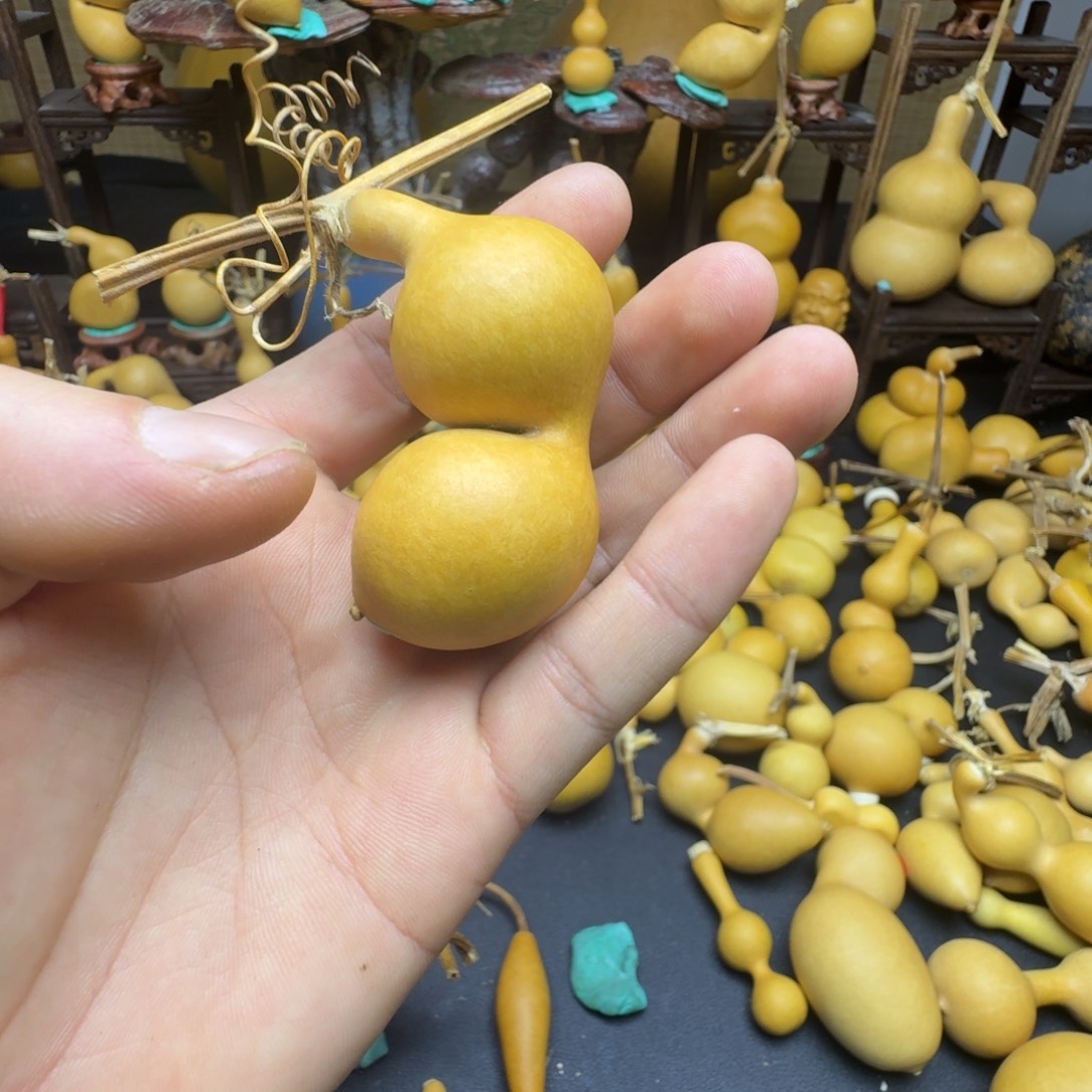 用***5蚂蚁蚂蚁蚂蚁蚂蚁