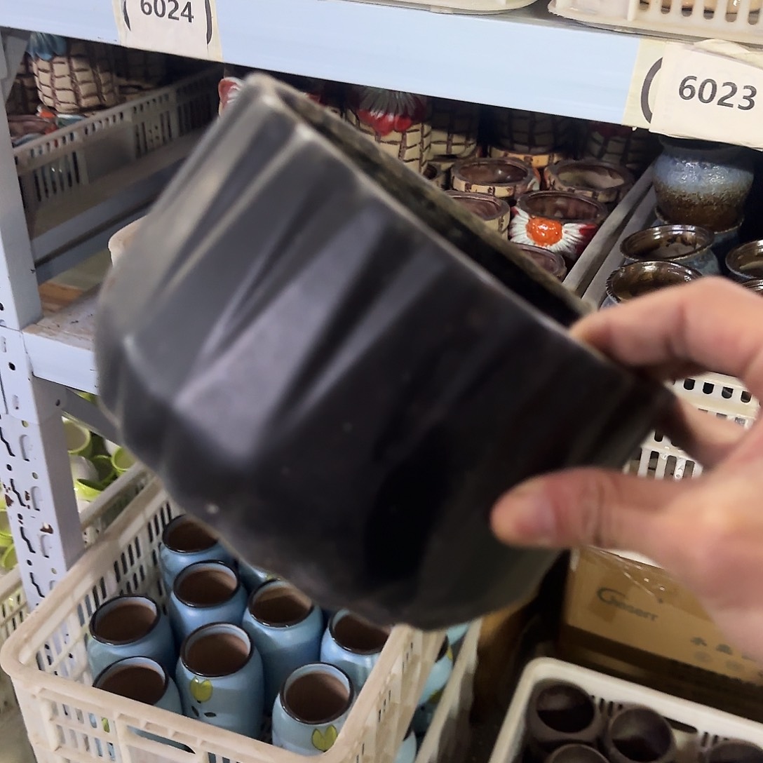 陶瓷··凑9元发··孤品区··6003