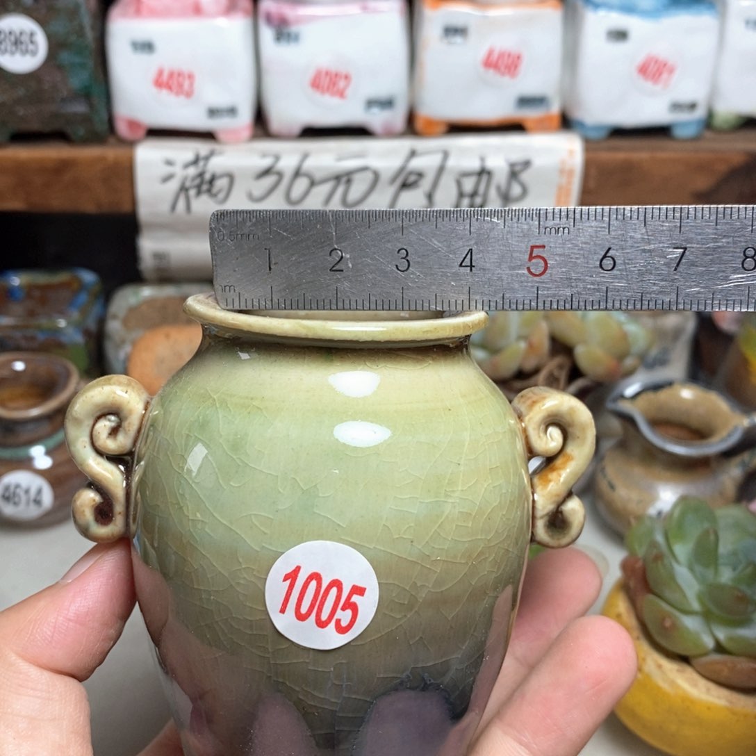 拍5送一个9· 9元的盆子