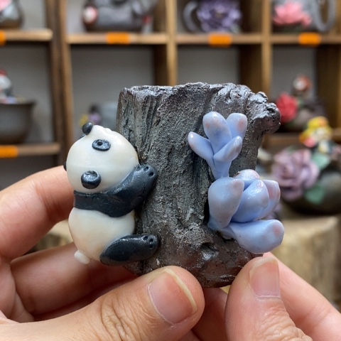 福利熊猫福利熊猫