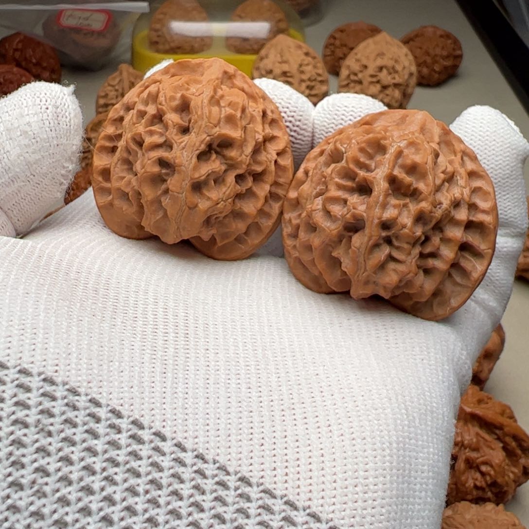 桃核吊坠S****y苹果元狮子头