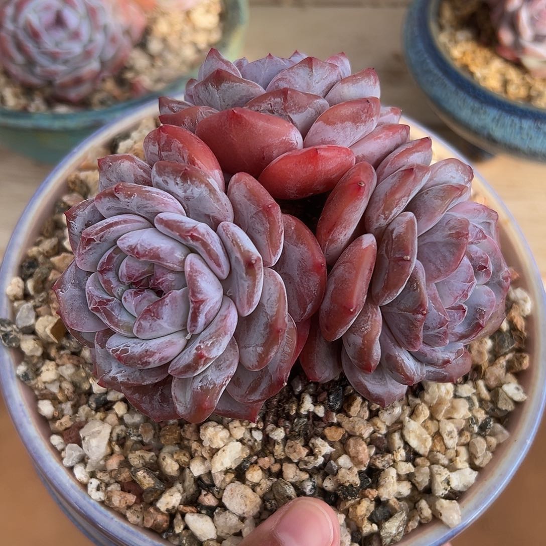 哈哈哈哈哈哈哈哈