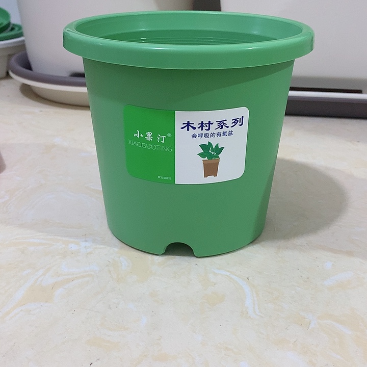 小果汀15口绿10个无托