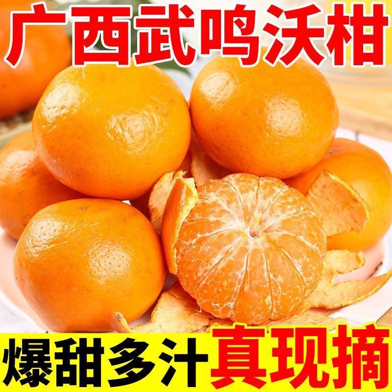 广西正宗武鸣沃柑供应链10斤当季新鲜现摘产地直销超甜生鲜桔橘子