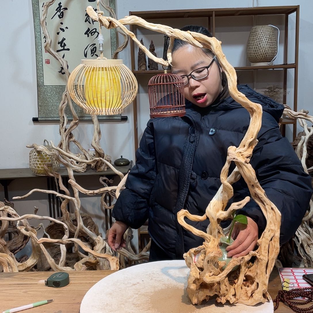 柏木杜鹃根根艺摆件