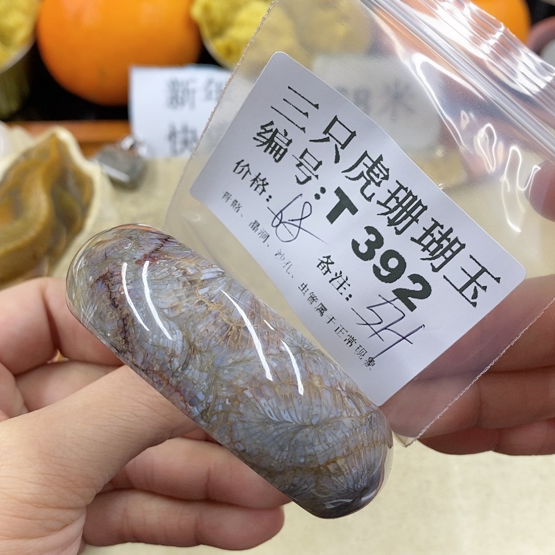 硅化珊瑚（珊瑚玉）1未镶嵌月****)