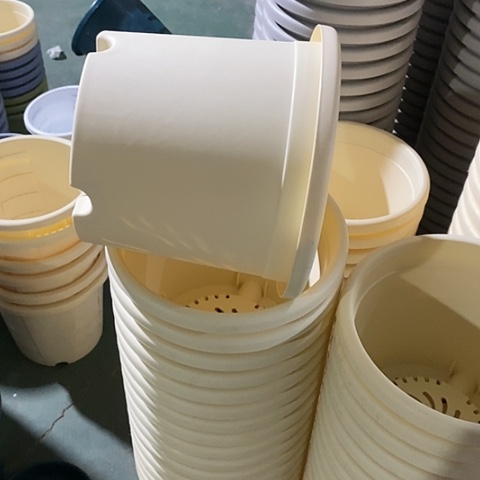 树脂四季3号米黄无托10个