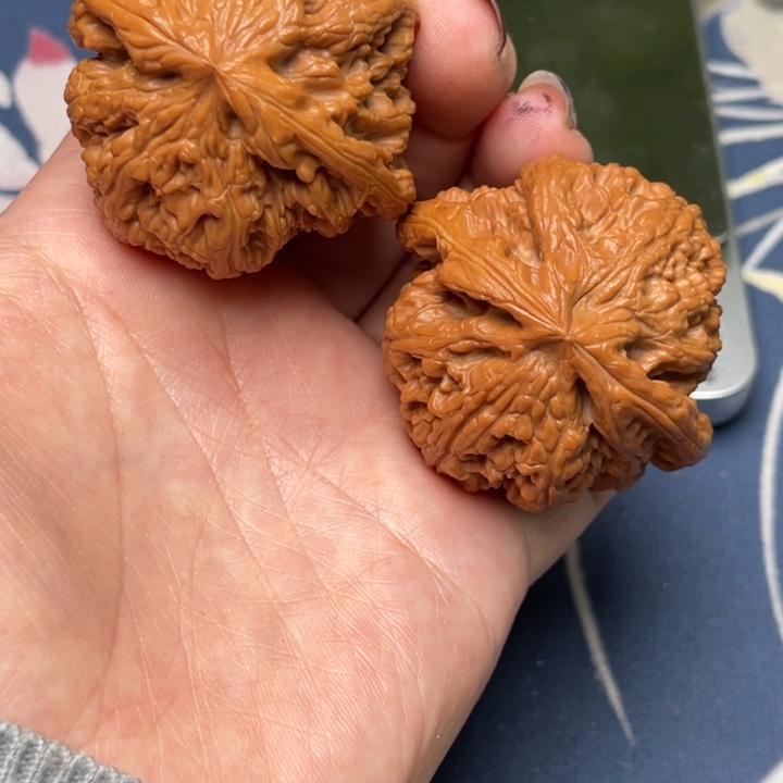 文玩核桃把件粗筋46