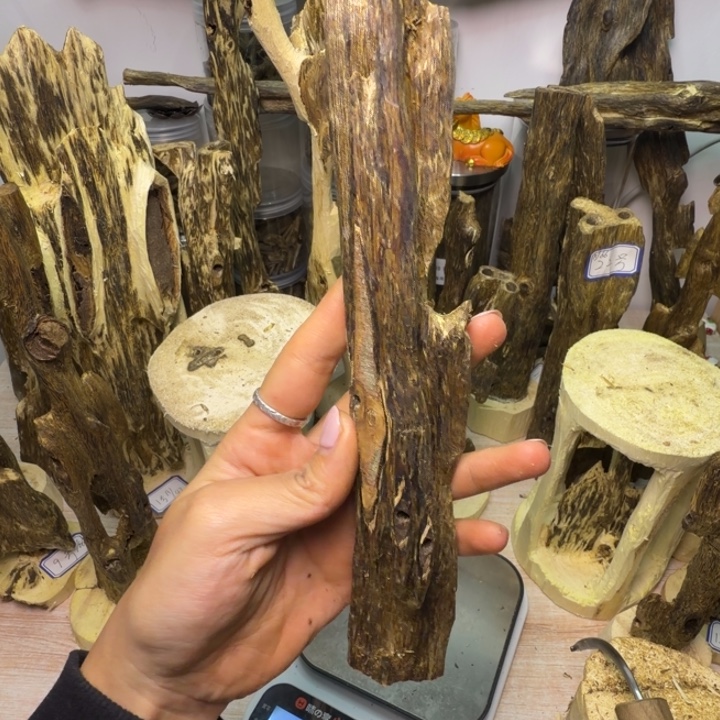 奇楠沉香72g张勺子