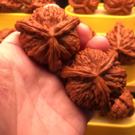 A***K核桃核桃核桃核桃核桃