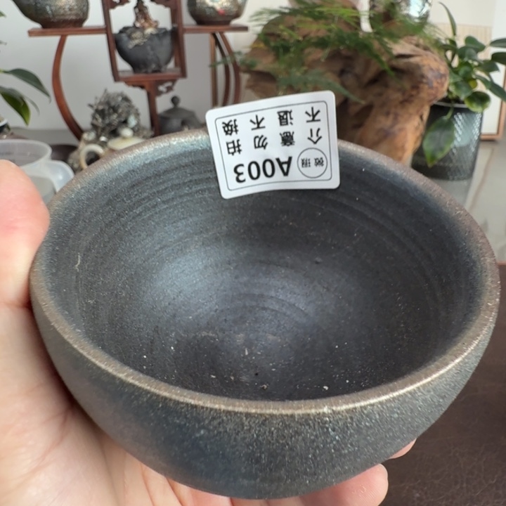 盘陶柴烧福利新品多多