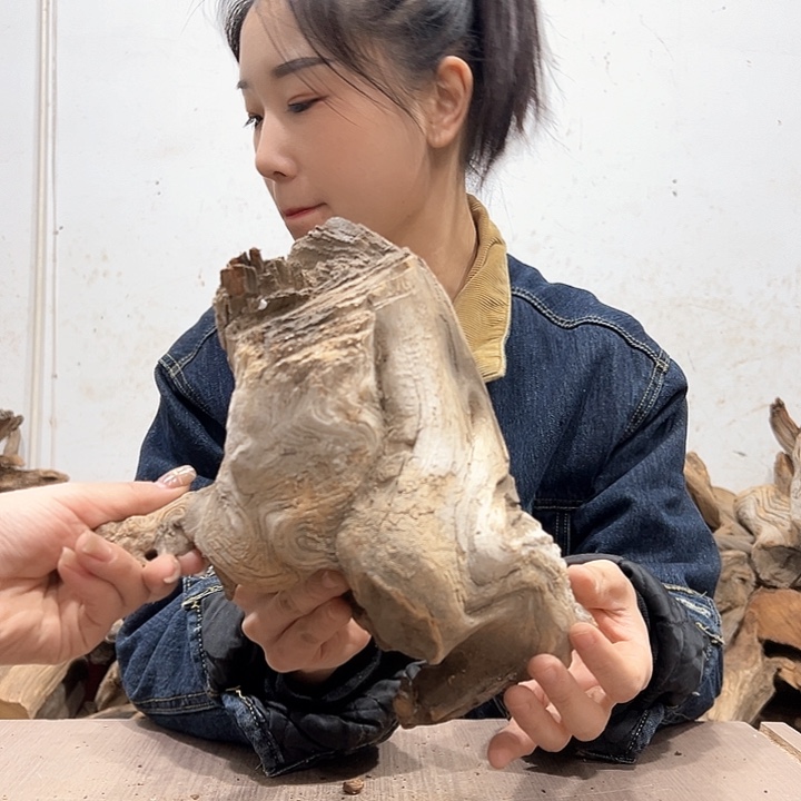 柏木贤我们都是好孩子