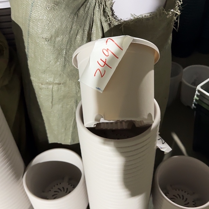 编号2497瑕疵的3号10个一组