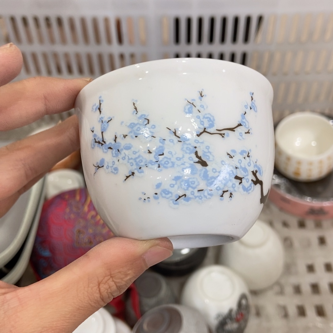 杯直播链接直播链接