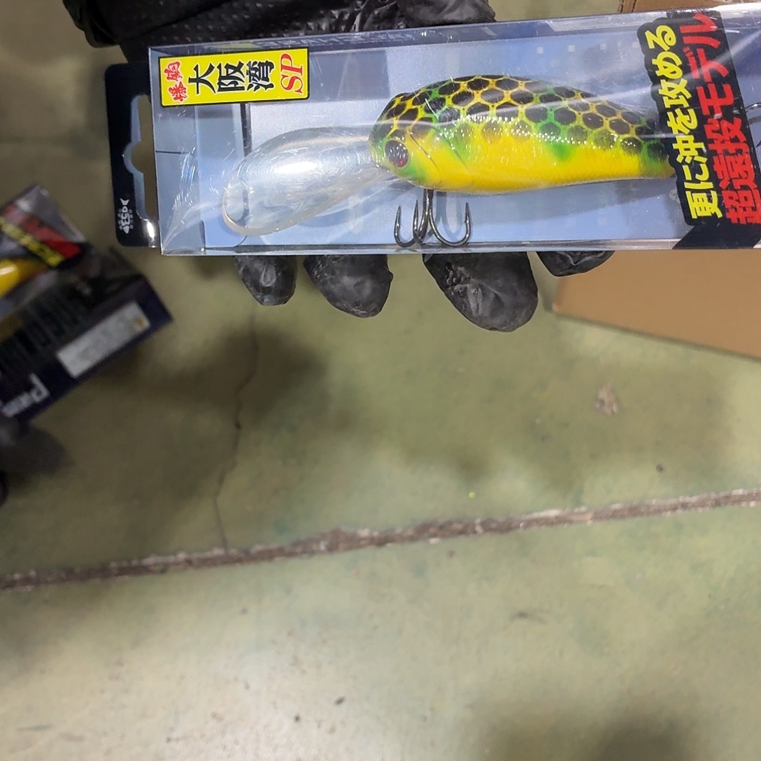 孤品8-全部颜色随机