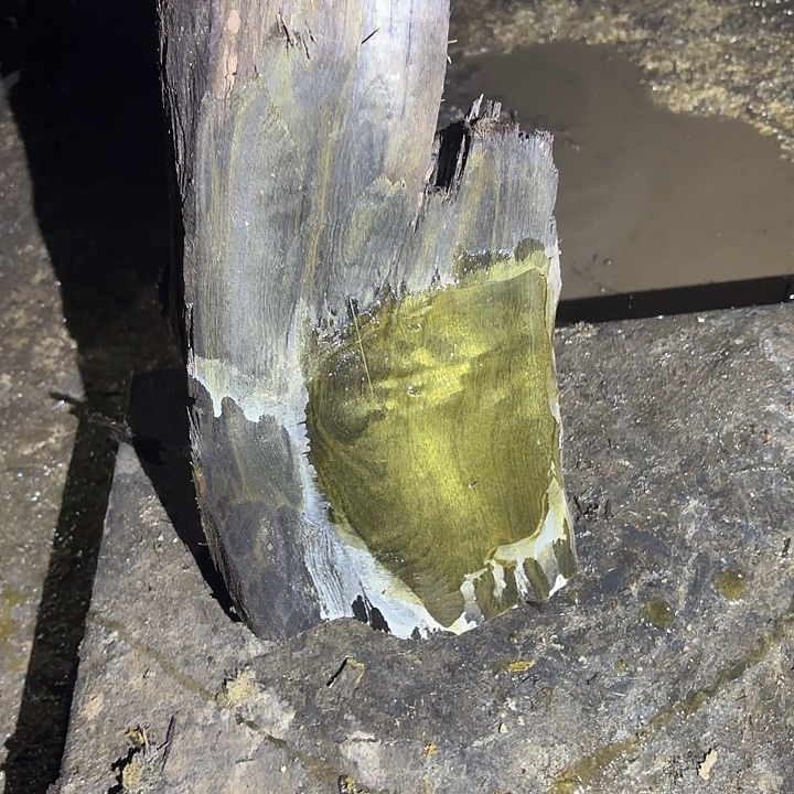 醉***峰乌木金丝楠摆件毛料