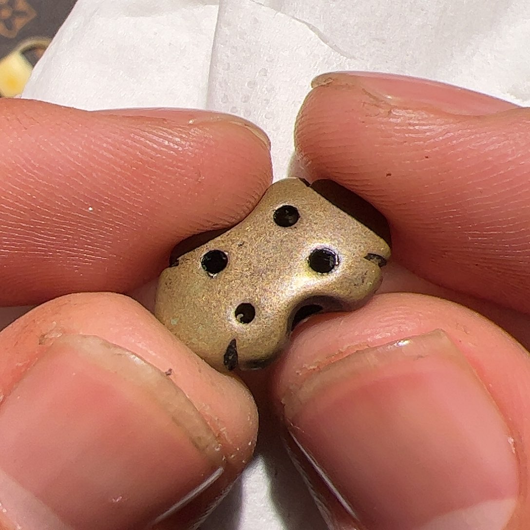 香榧木你的时候你