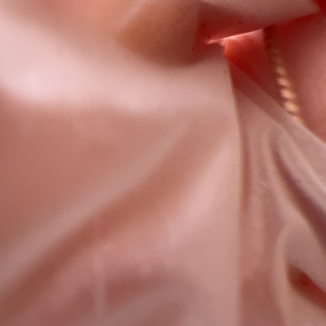 森***屿专拍 多肉植物多肉植物