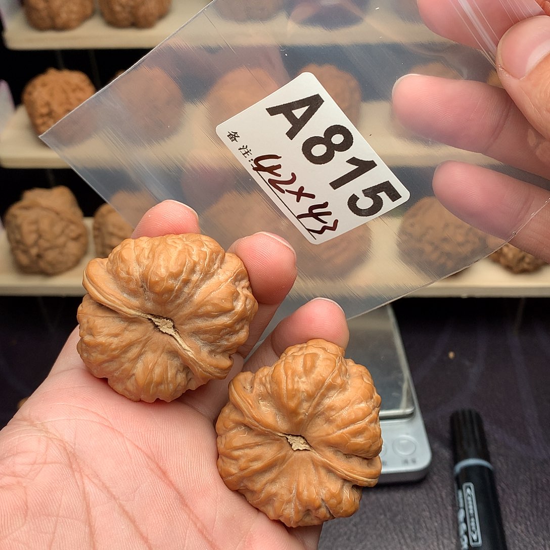 可***乐核桃815号蛤蟆头888