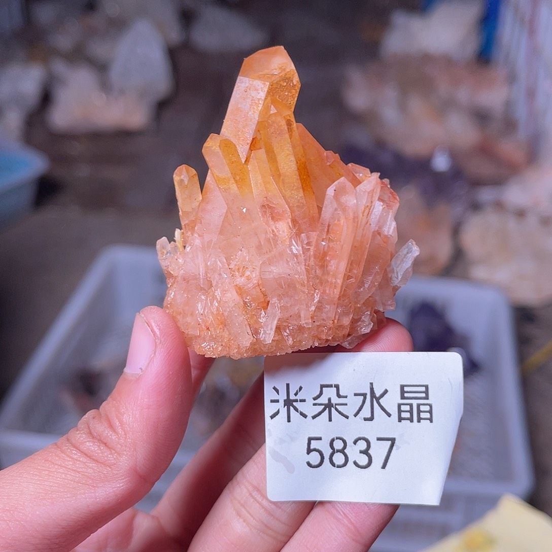 T***呀水晶珠宝半成品未镶嵌