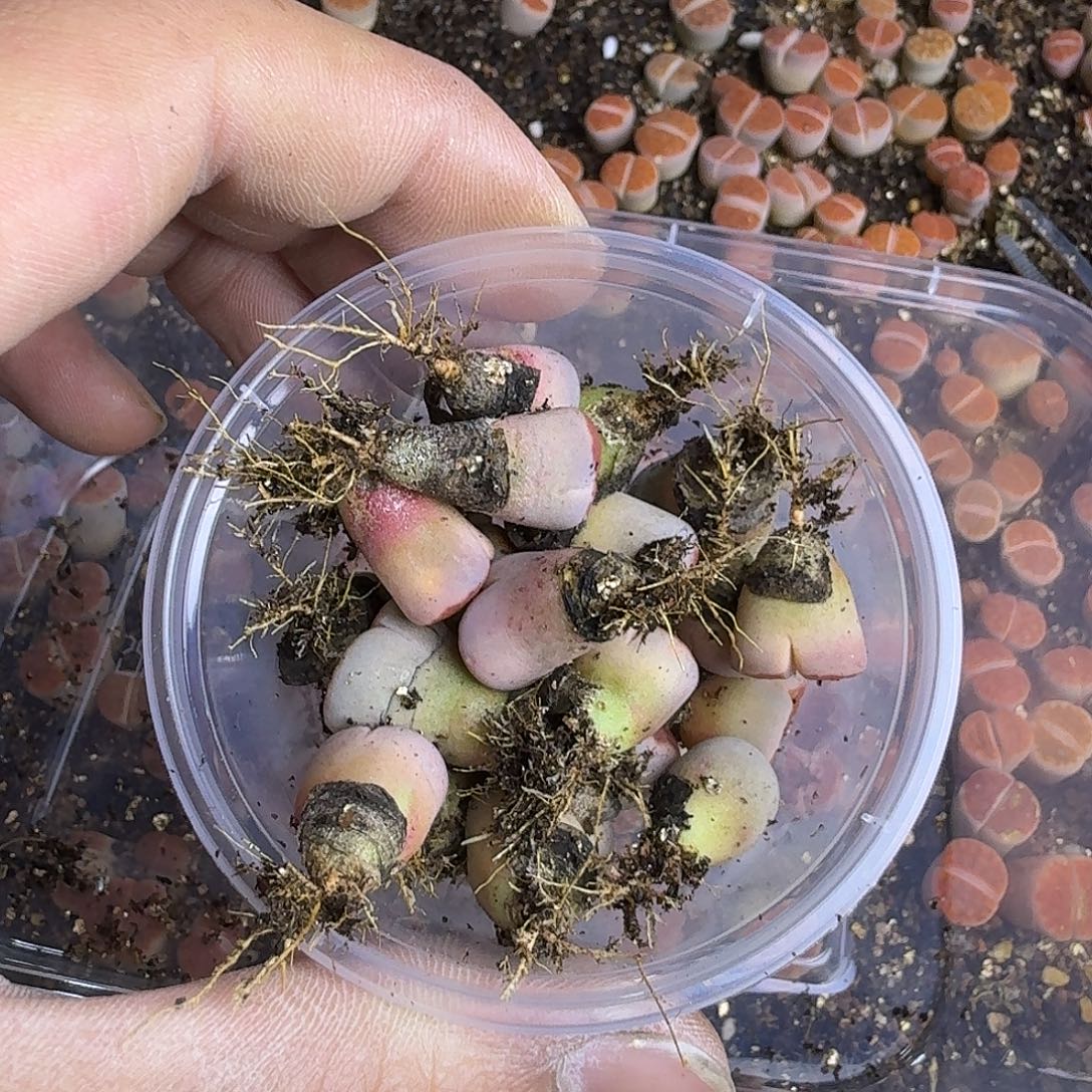 足***矣805 哈哈哈哈哈哈哈哈哈哈