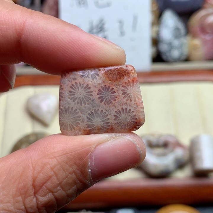 硅化珊瑚（珊瑚玉）颈饰未镶嵌