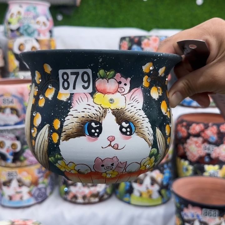 田小姐多肉花盆1个