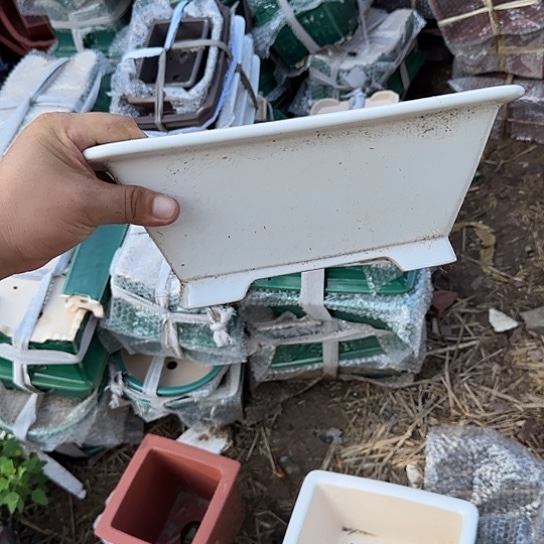 是你想说不可能吗亲爱